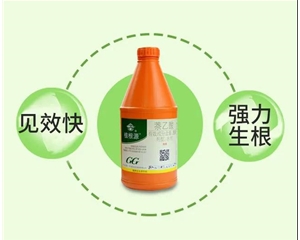 國光植根源